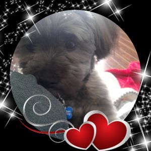 Meet your Posher, Cecily